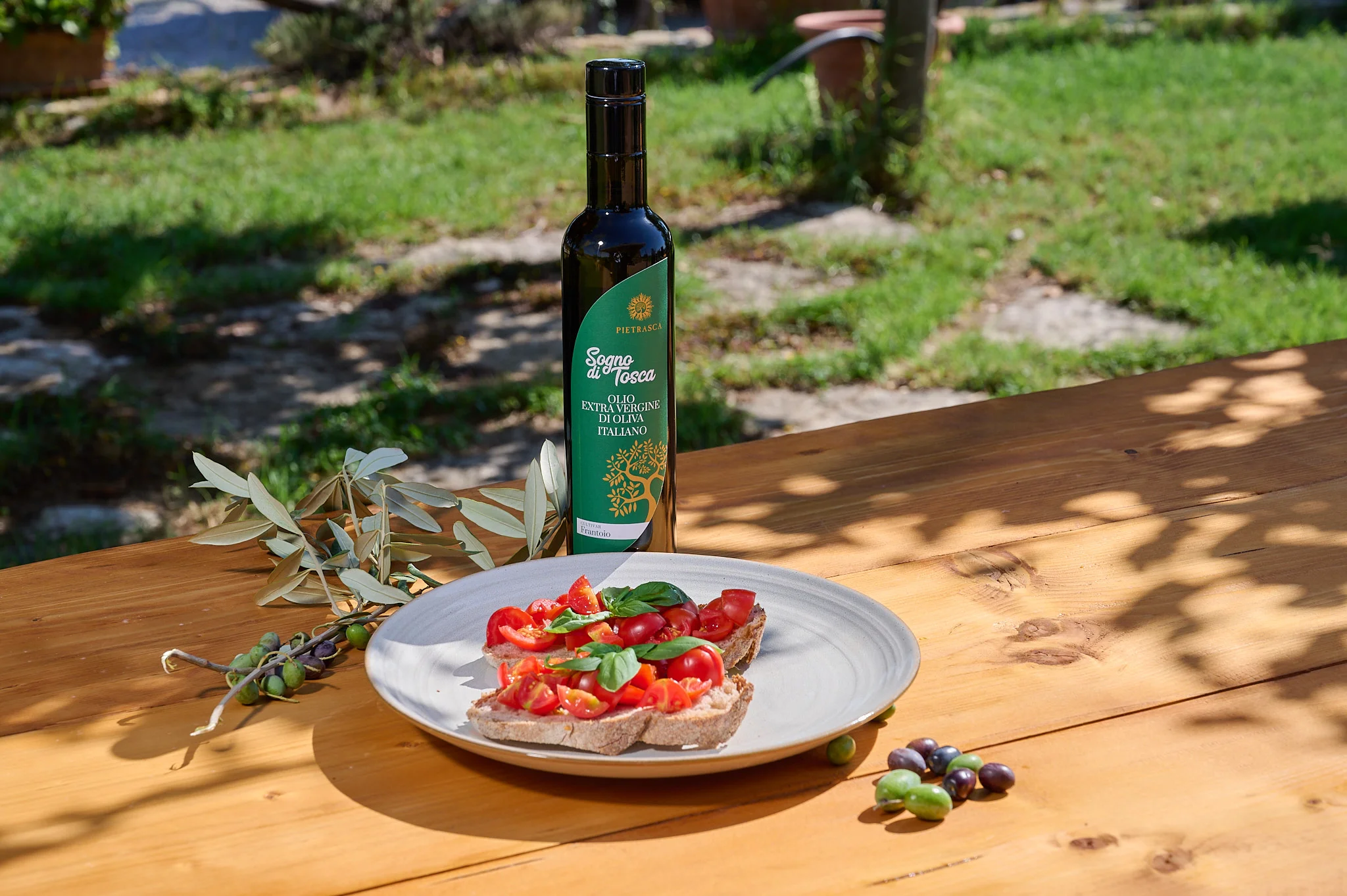 degustazioni-olio-suvereto